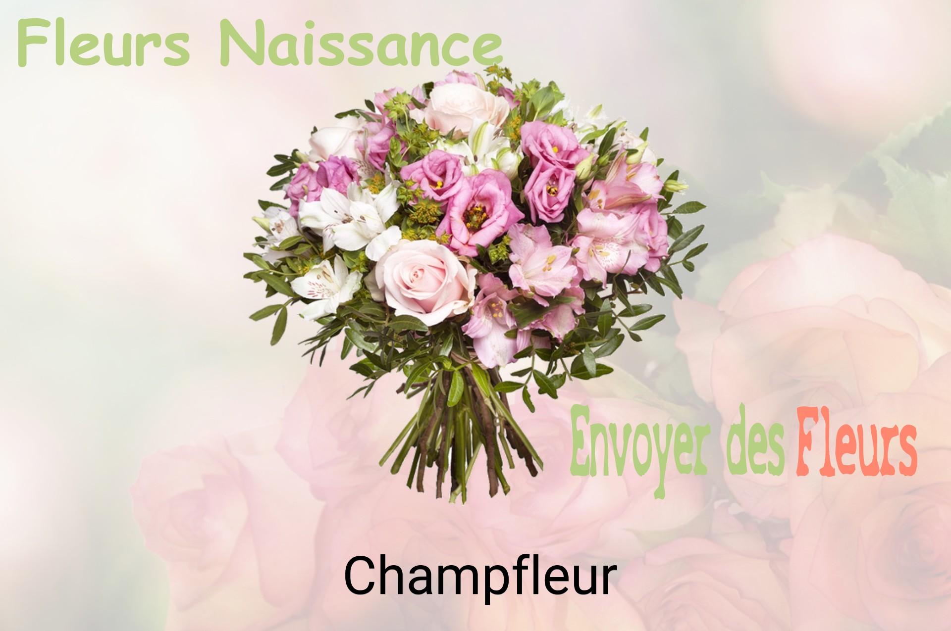 Bouquet de fleurs de naissance livré à Champfleur
